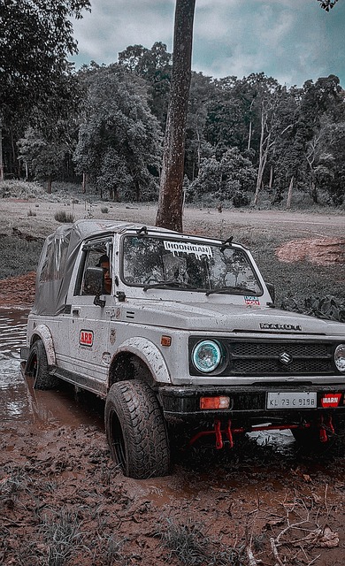 不朽情缘游戏官网